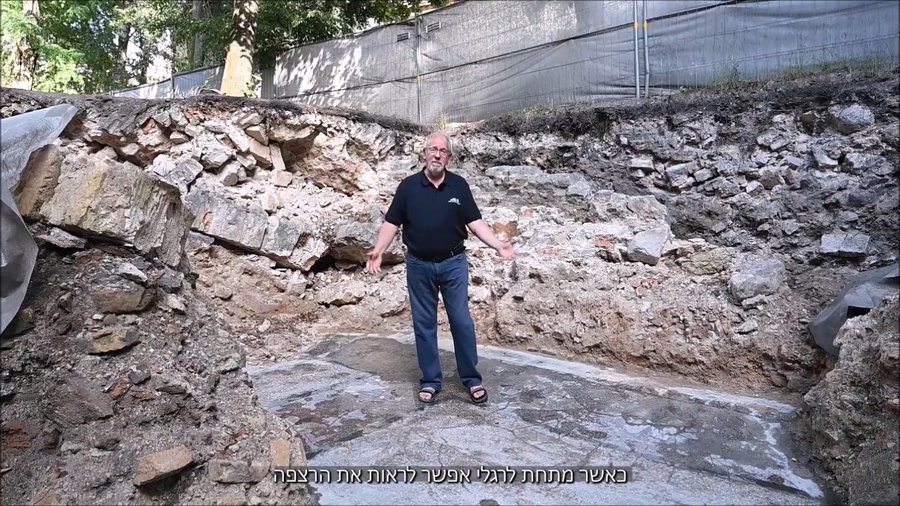 ד"ר זליגמן מסביר | צפו