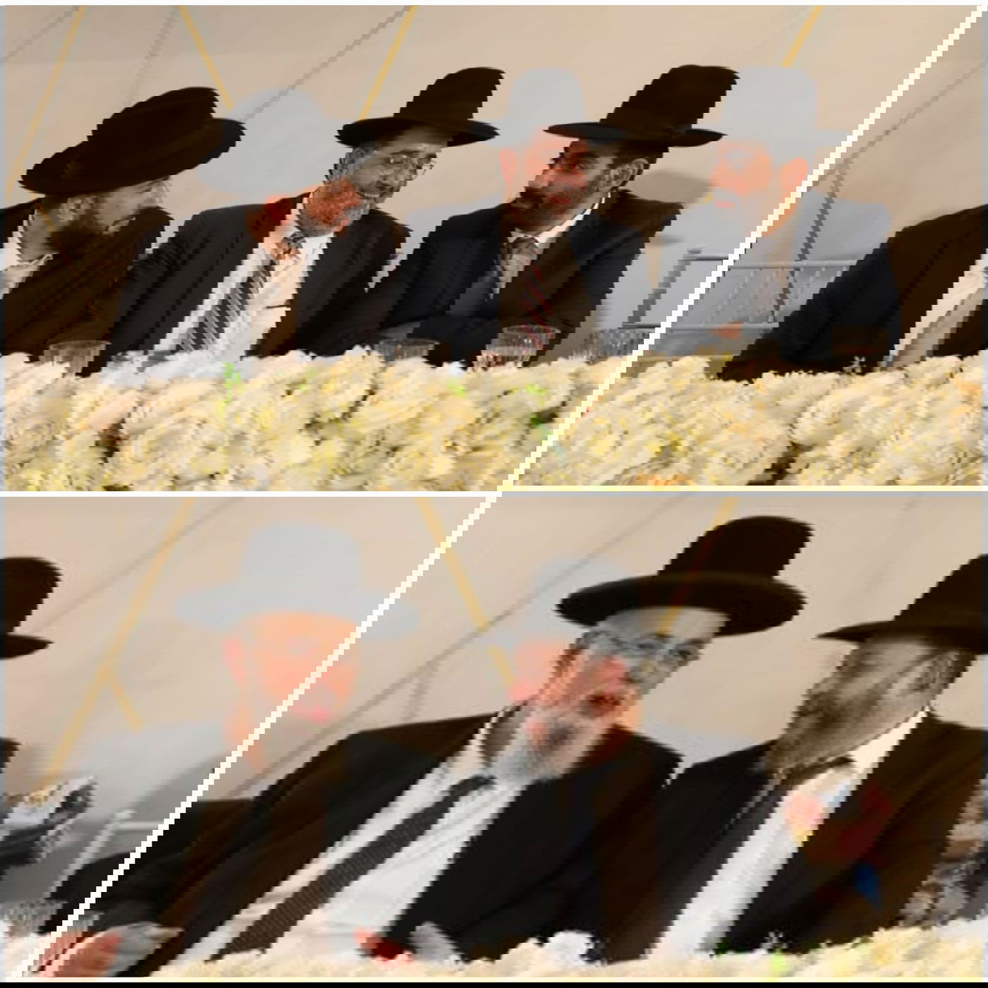 זופניק בכיכר • כל התמונות, הנייעס והחשיפות של השבוע