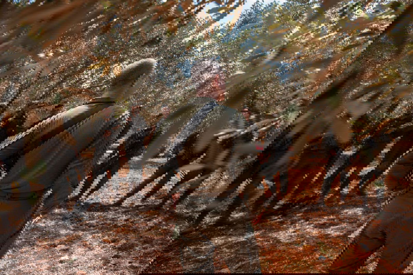 תרחיש לחימה משולב