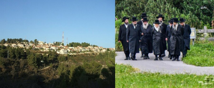 האדמו"ר מגור בנאות דשא בדאבוס - יישוב אורה