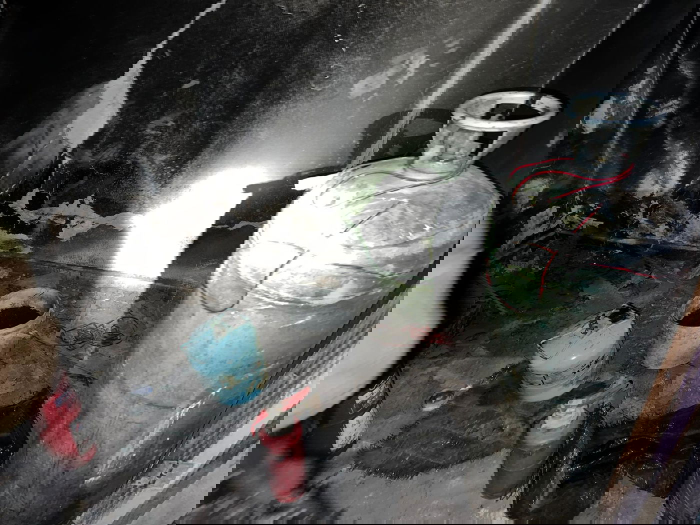 תיעוד מהפעילות הלילה