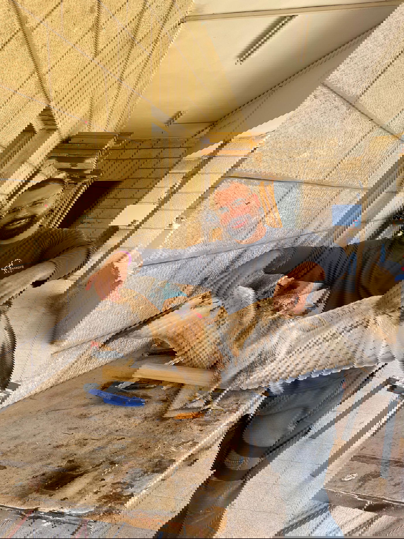 עקב עיטי בלע פקק של בקבוק; כך הוא ניצל | תיעוד