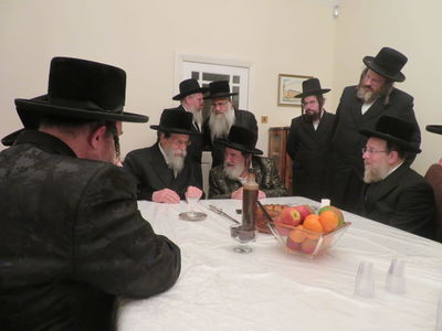 האדמו"ר מויז'ניץ בביקור אצל האדמו"ר מבאיאן 