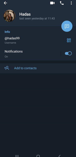 החשבונות הפיקטיבים