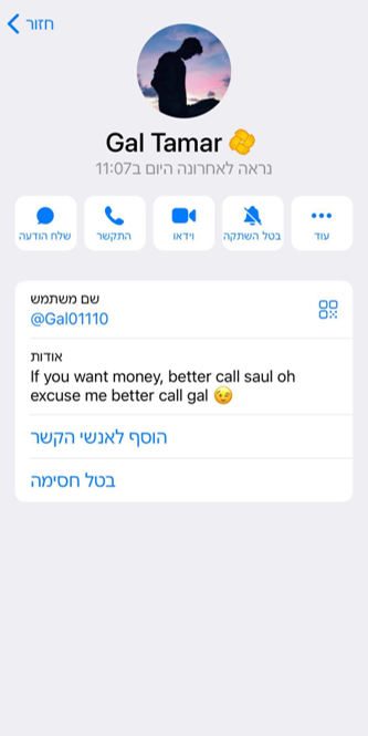 החשבונות הפיקטיבים