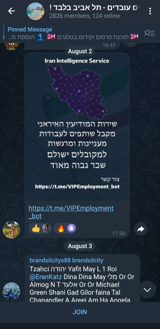 החשבונות הפיקטיבים