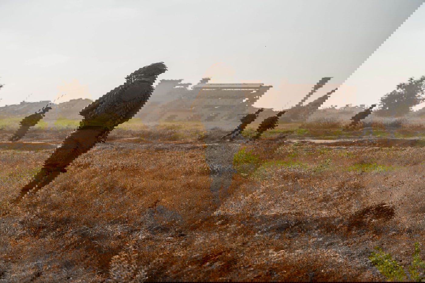 פעילות כוחות צה"ל ברצועת עזה