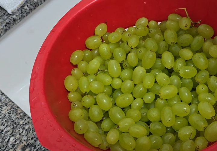 כך תבדקו את הענבים מפני תולעים