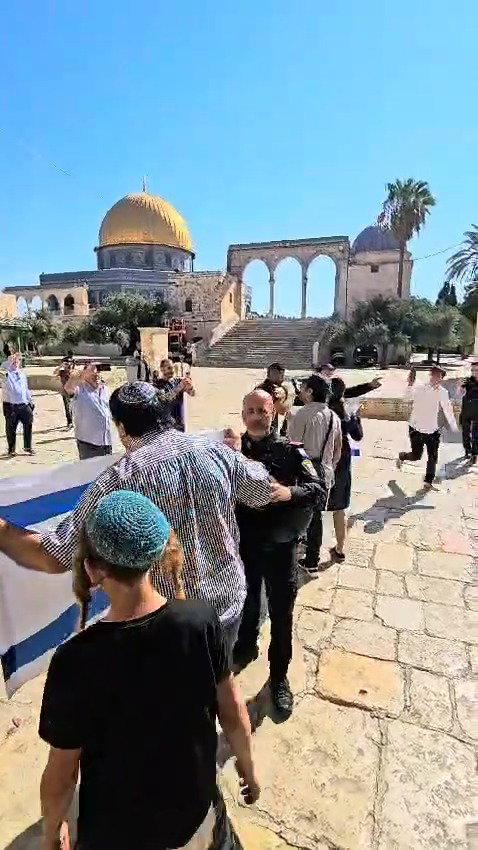 מניפים דגל ישראל