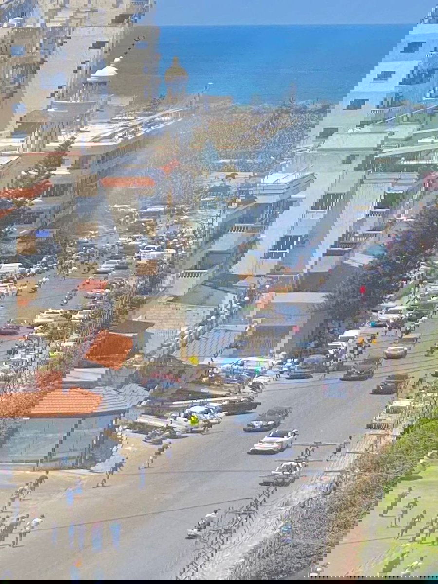 הסיכול הממוקד בדרום לבנון