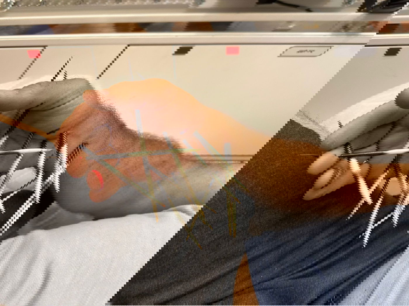 חצי הדורבן בגופו של האזרח