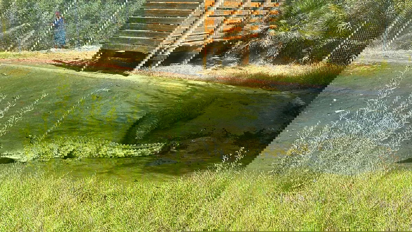 זירת התקרית הבוקר