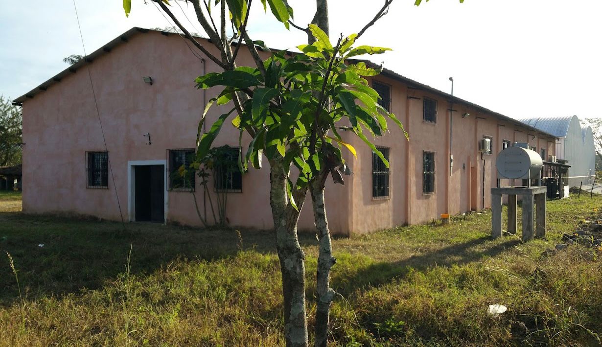 מתחם הכת בגואטמלה