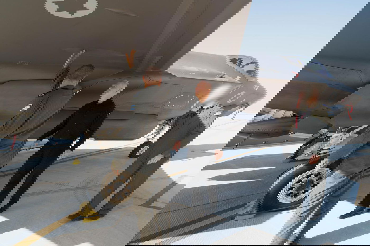 גלנט בנבטים