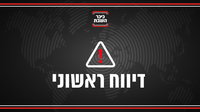 דיווח ראשוני