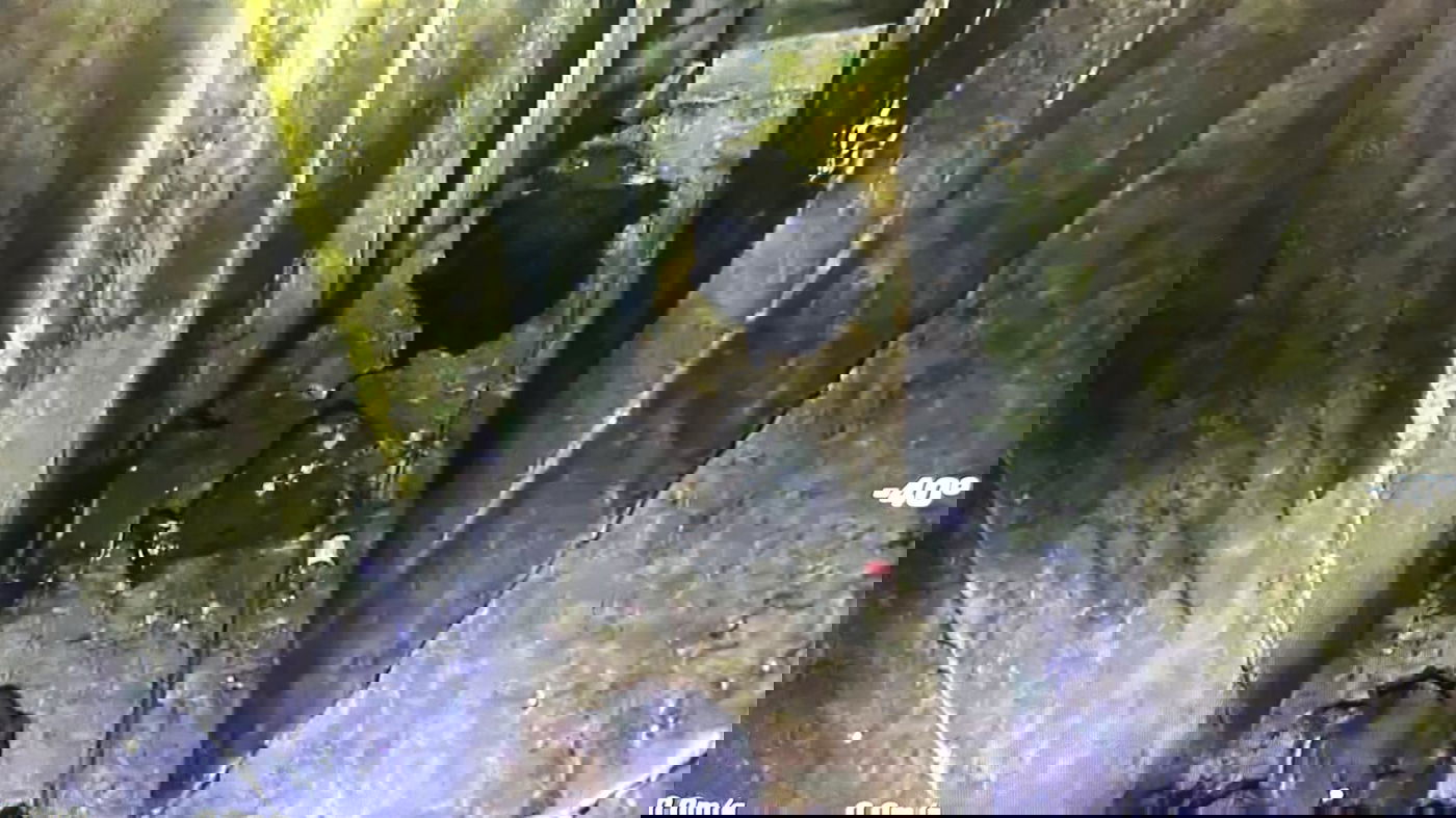 תיעוד מהפעילות