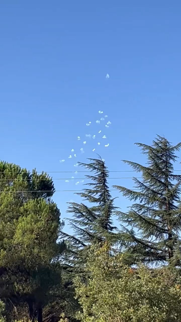 עשרות היירוטים הבוקר