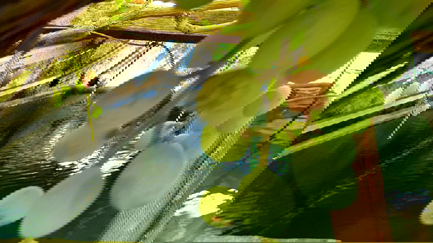 מעין אחיה בביתר עילית