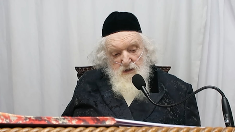 "חי כמו חיה" | צפו בתיעוד