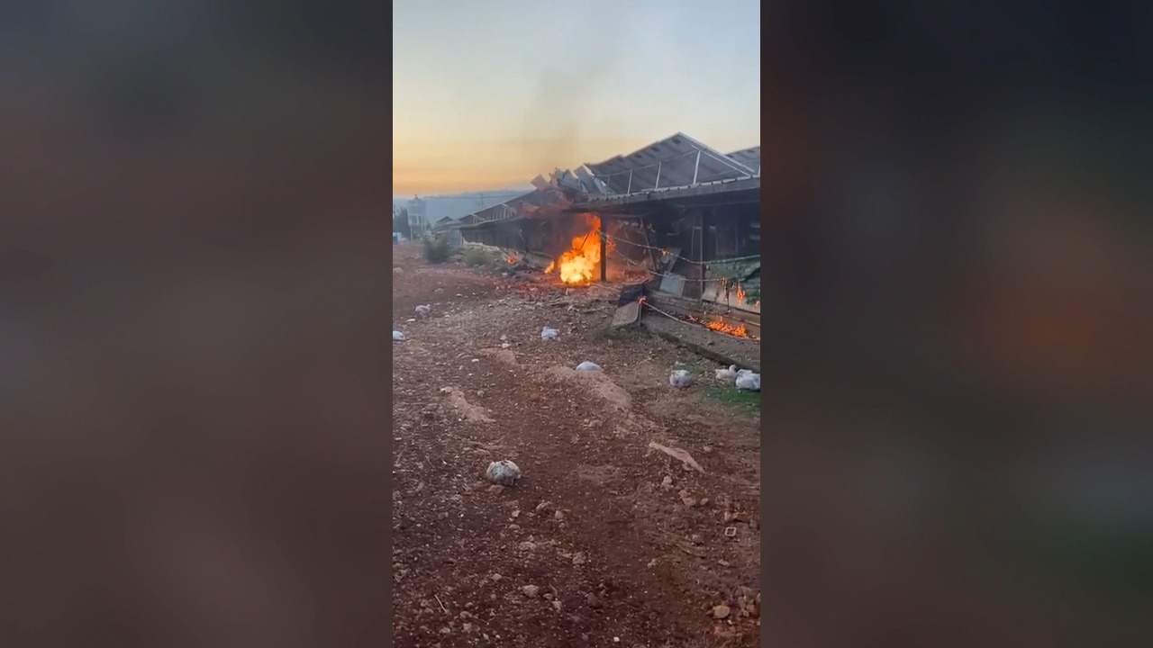 הפגיעה בלול התרנגולות