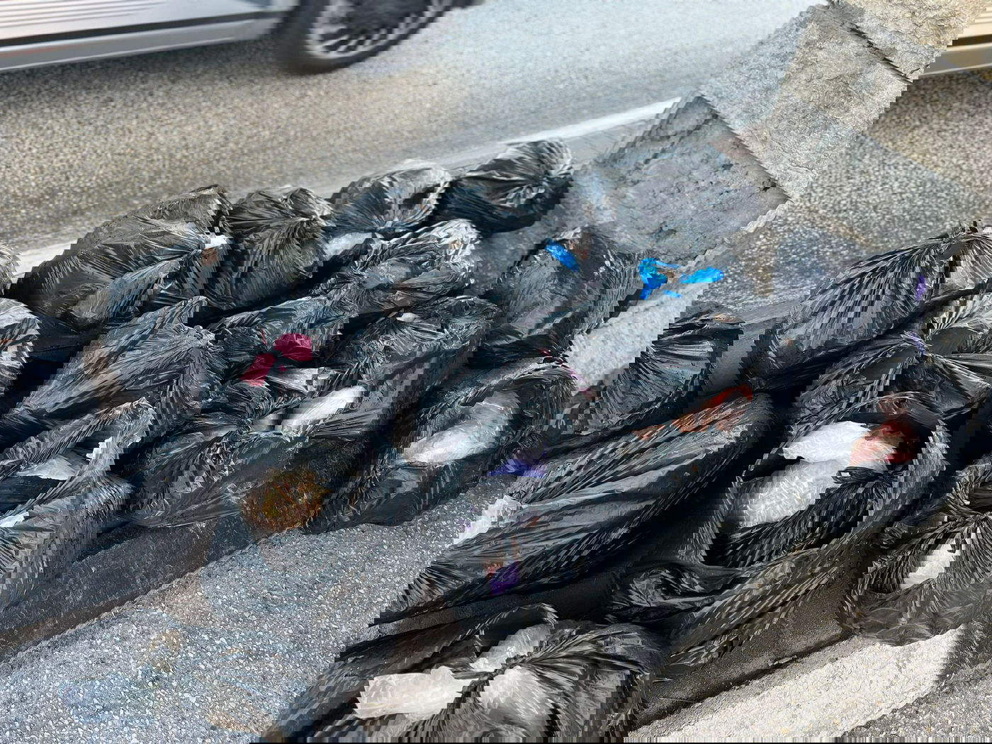 בן 35 מירושלים הבריח 210 קילו בשר מהשטחים ונעצר | צפו