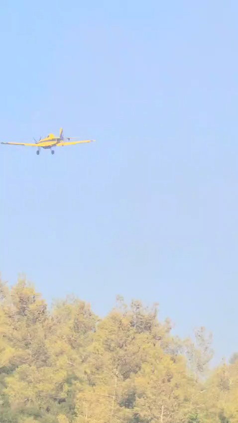 השריפה בכביש 1