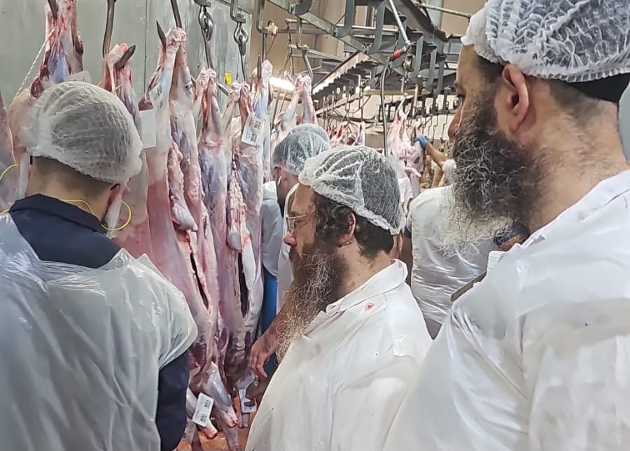 הפוסק ר' עמרם פריד במשחטת "בשורה"