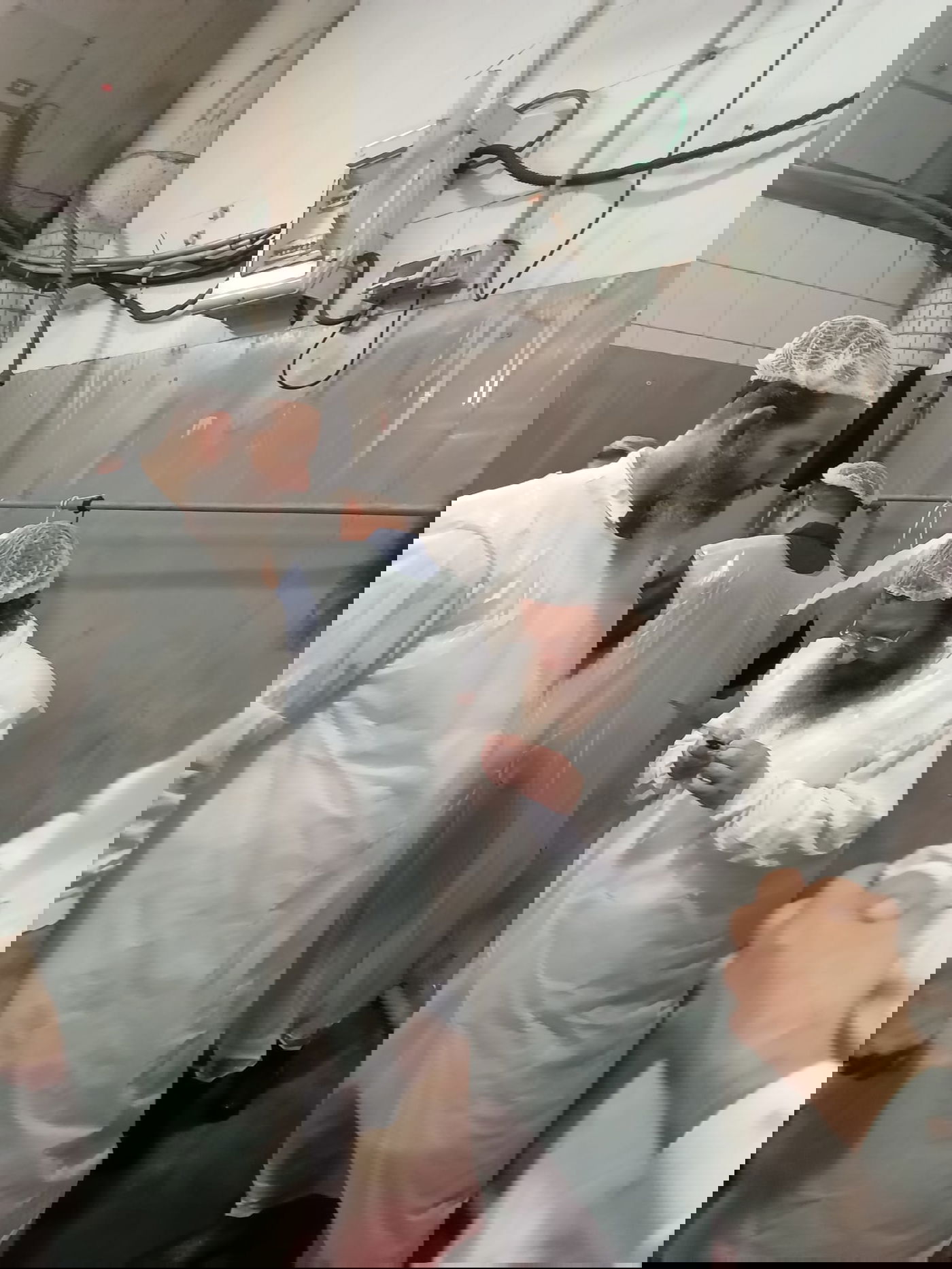 הפוסק ר' עמרם פריד בביקור פתע במשחטת "בשורה"