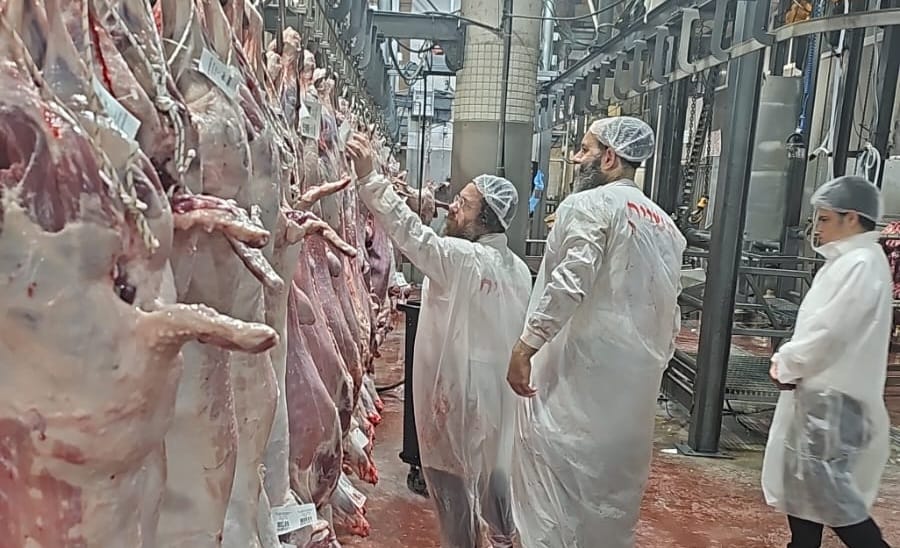 הפוסק ר' עמרם פריד בביקור פתע במשחטת "בשורה"