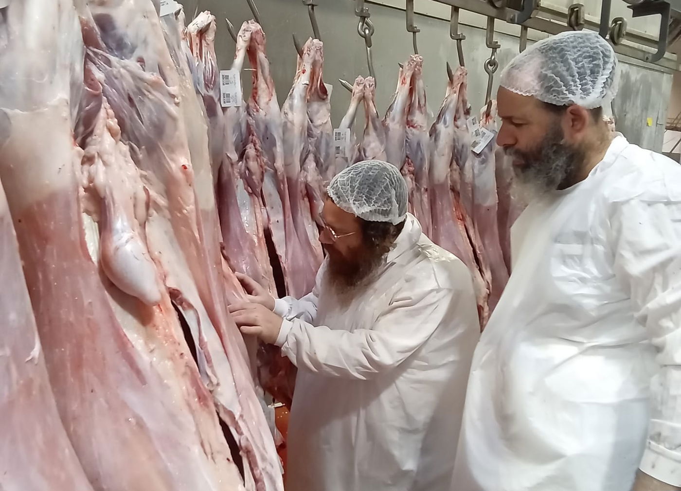 הפוסק ר' עמרם פריד בביקור פתע במשחטת "בשורה"