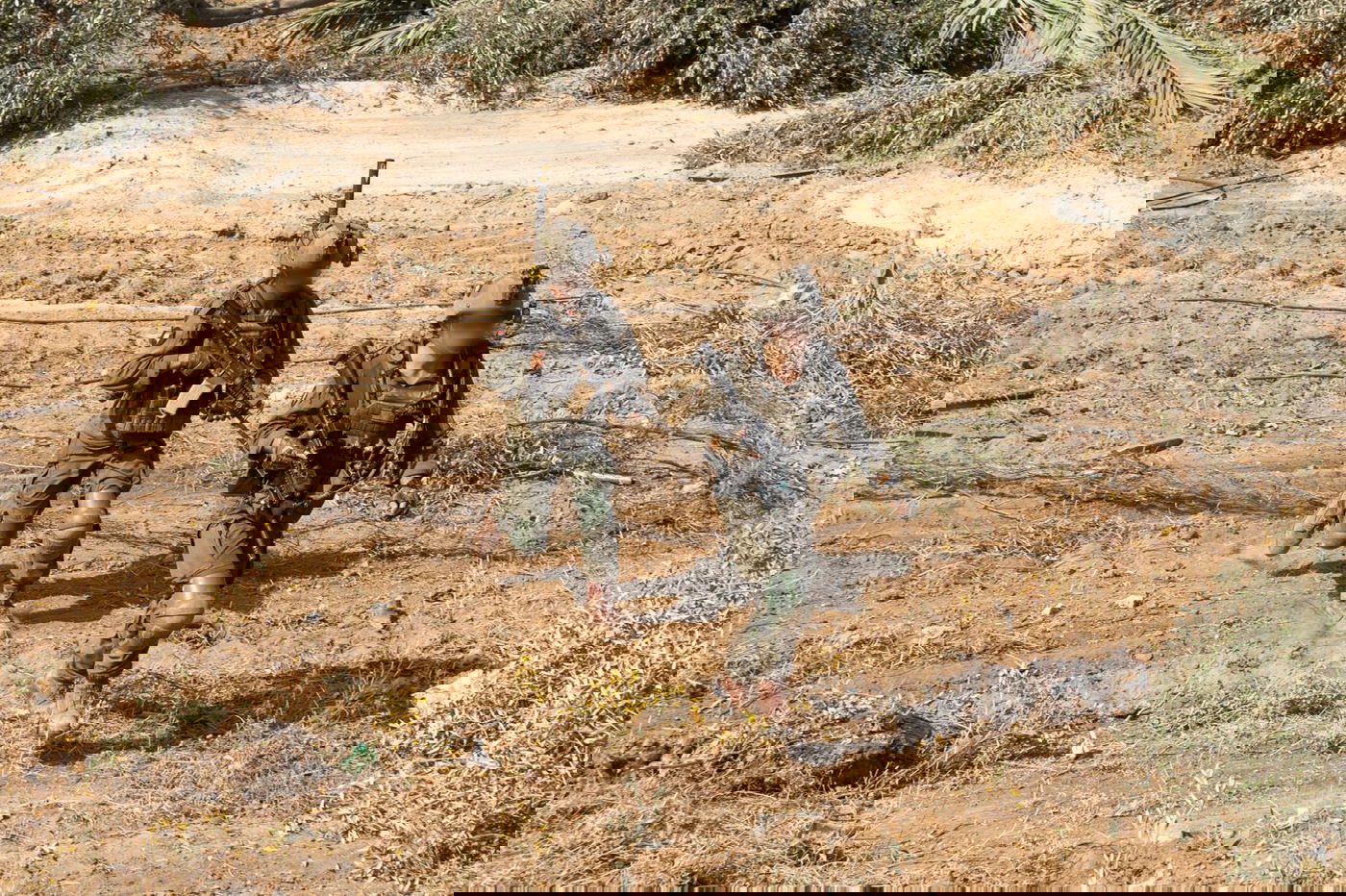 ביממה האחרונה: לוחמי צה"ל חיסלו עשרות מחבלים ברפיח