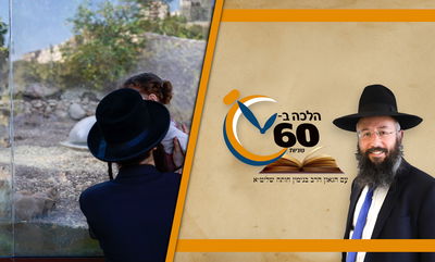 "חינם עד גיל 5" | לפי איזה תאריך קובעים את הגיל? • צפו 