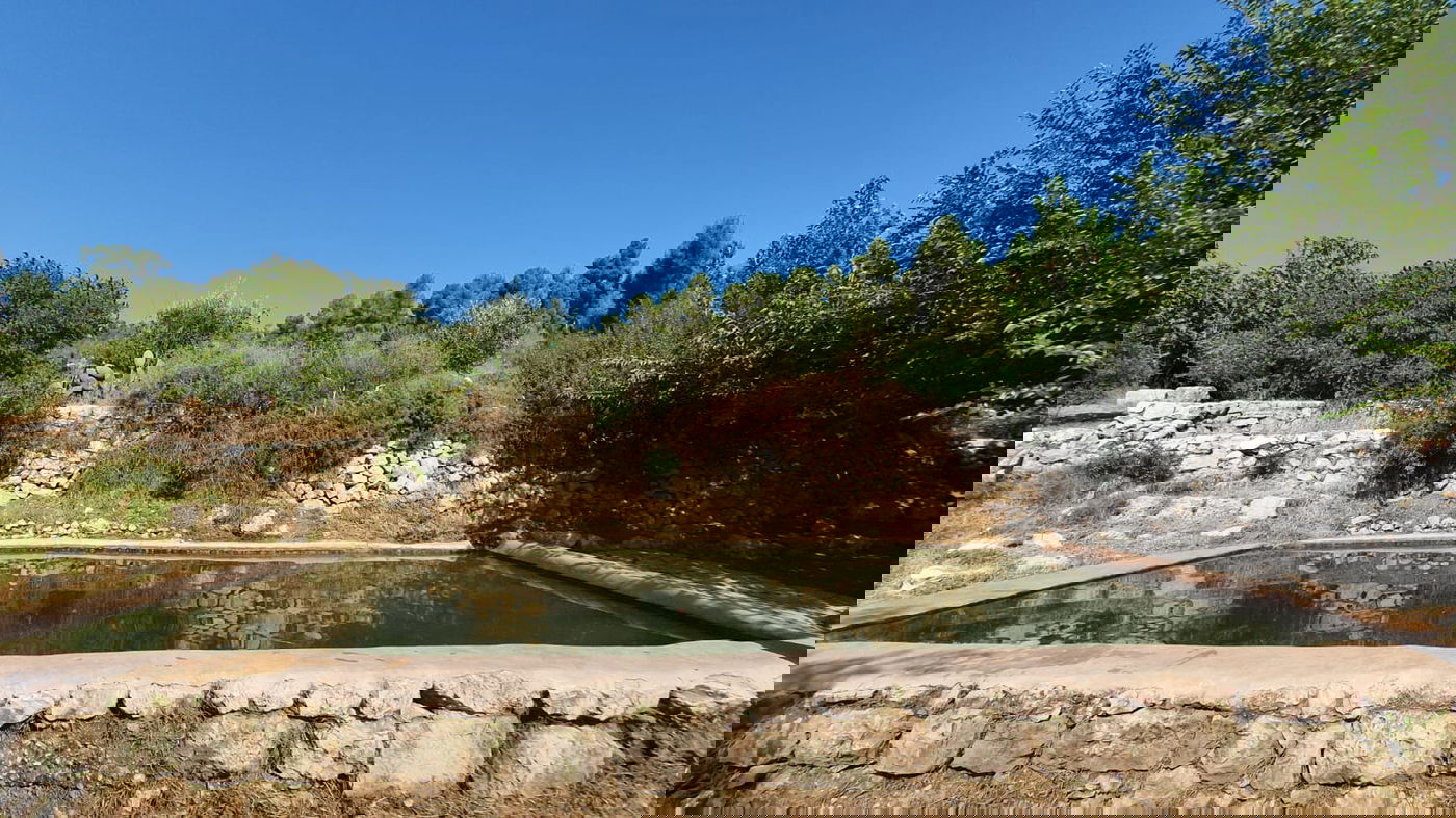 מעיין עין לבן