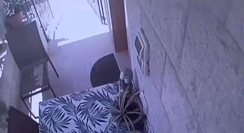 השודדים בכניסה לביתה קדישה 