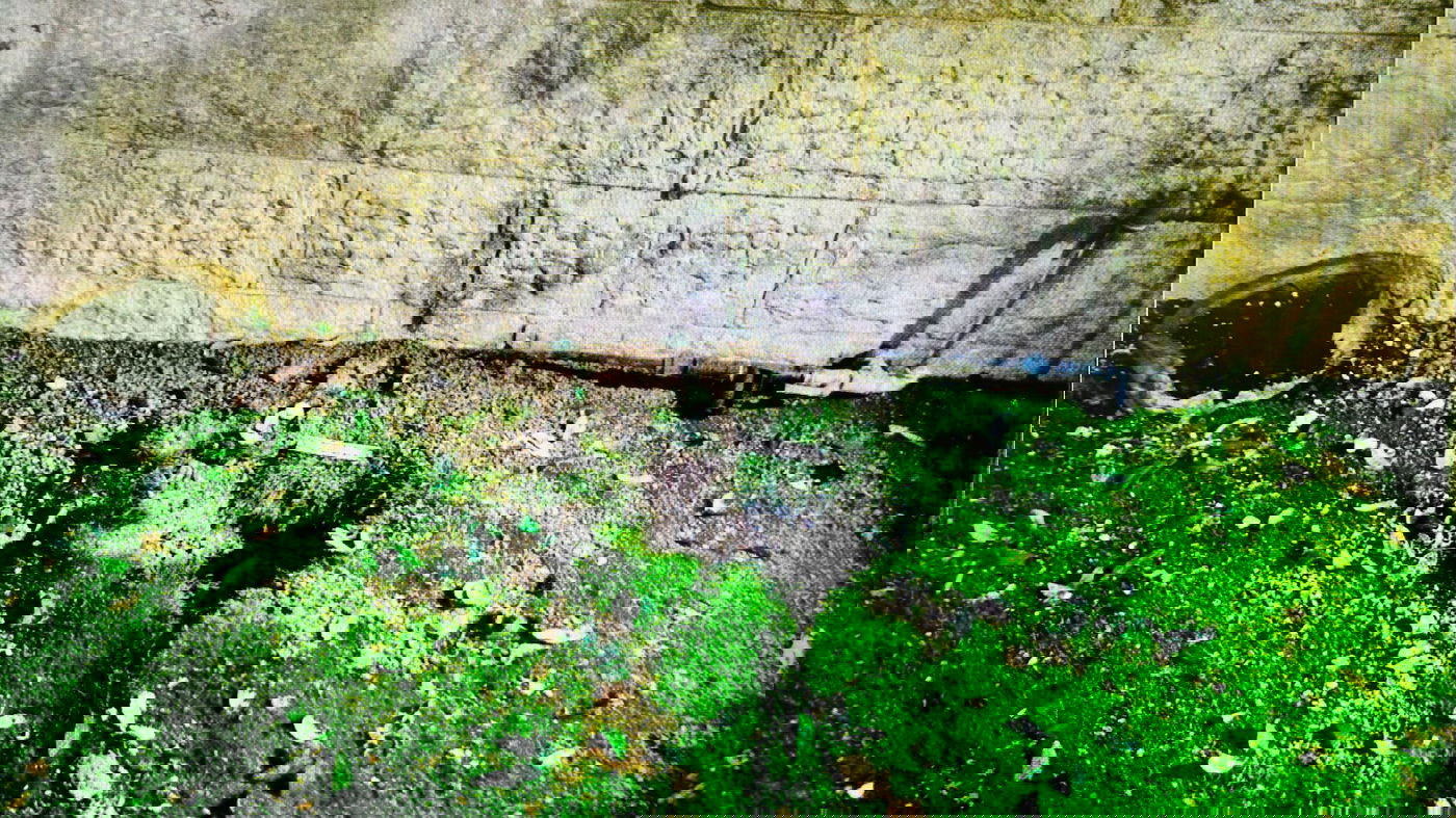 זירת פיצוץ הרימון בחצר הבית