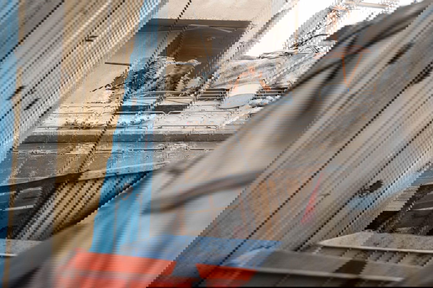 תיעוד הפעילות