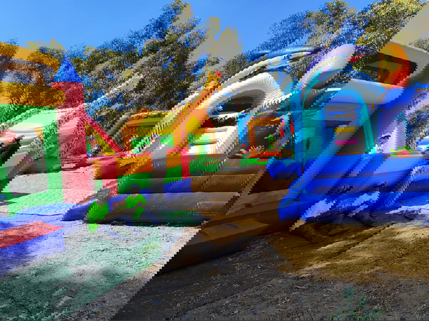 מאחז אלי עזה