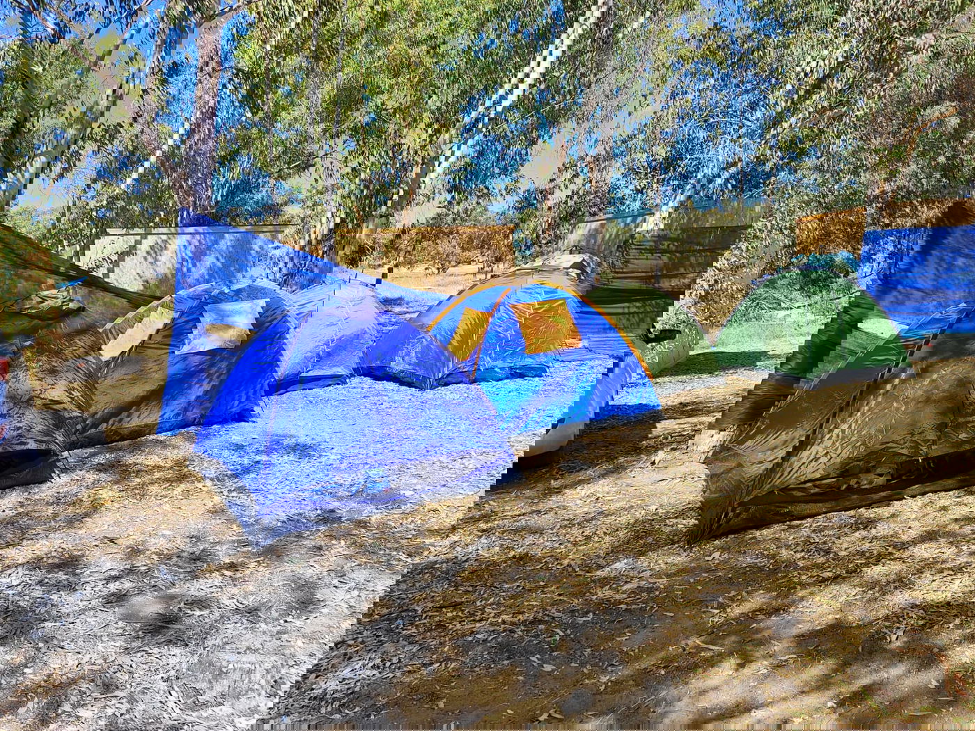 מאחז אלי עזה