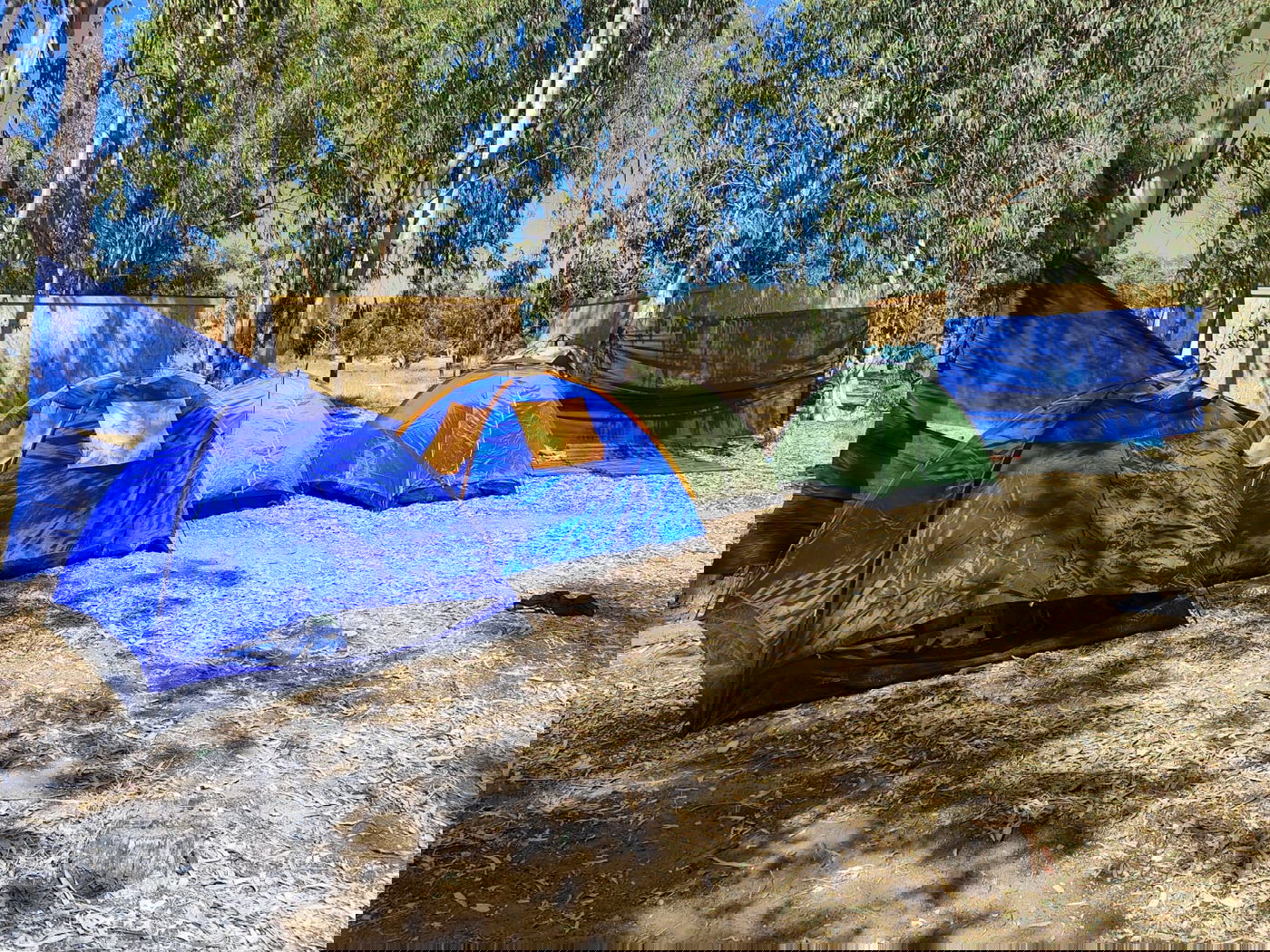 מאחז אלי עזה