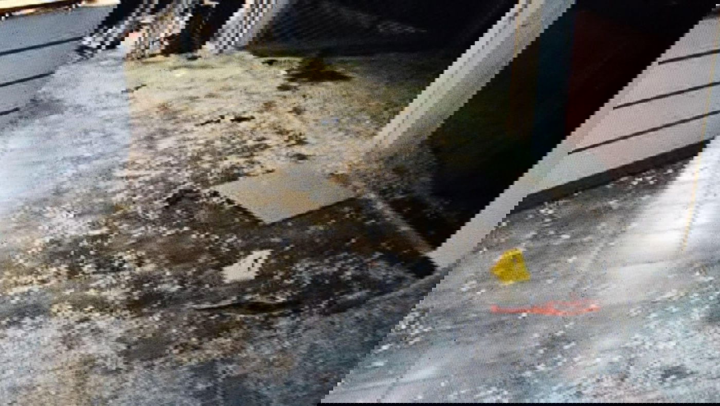 זירה שנפגעה מרימון רסס. ארכיון