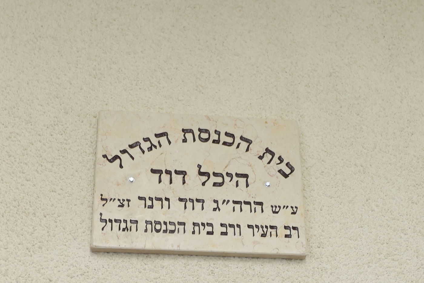 הכתרת הרב בן ציון נורדמן לרב בית הכנסת הגדול