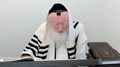 בואו לסיים ש"ס תוך שנה | השיעור היום: ברכות מדף כ"ג עד כ"ט