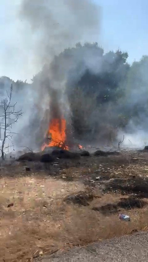 שריפה ביערה שבגליל כתוצאה מפגיעת רקטה ששוגרה מלבנון