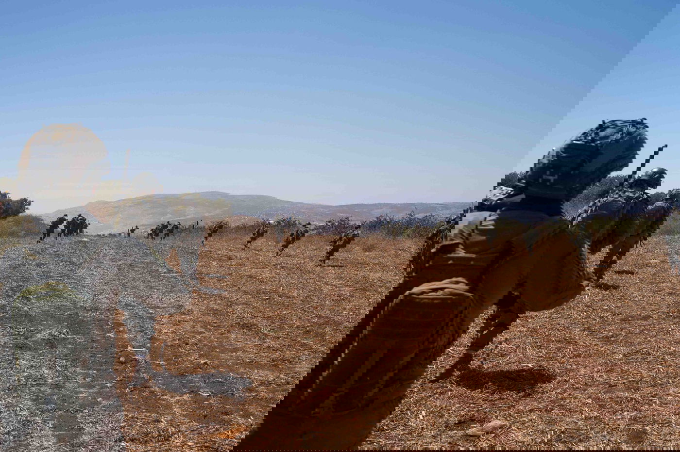 כוחות הביטחון בצפון השומרון