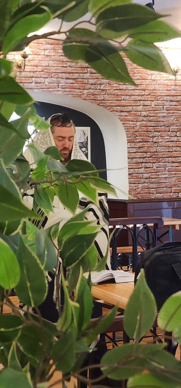 זופניק בכיכר • כל התמונות, הנייעס והחשיפות של השבוע