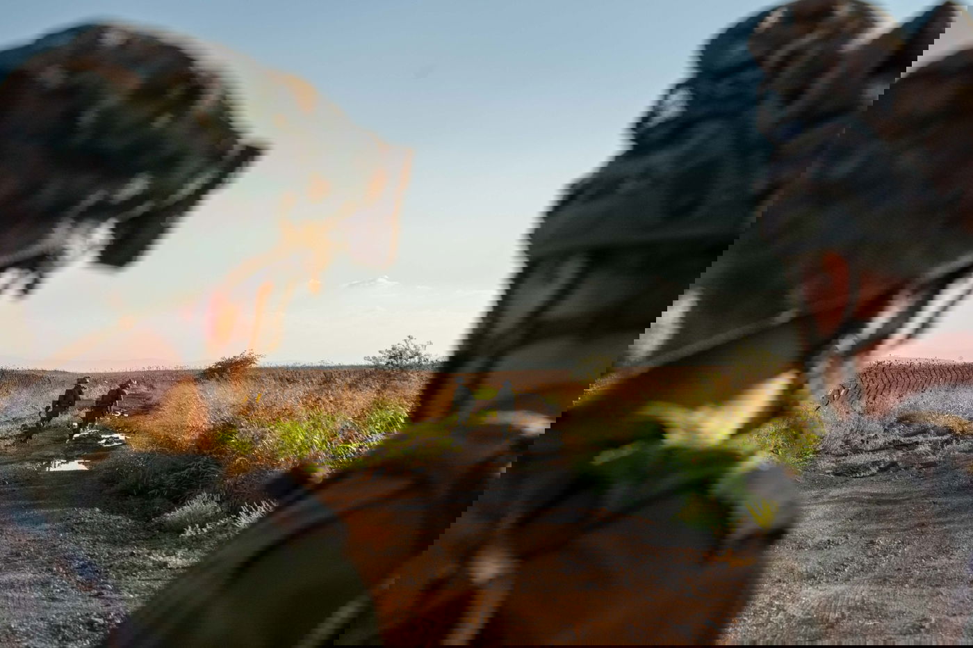 תיעוד מהקמת היחידה החדשה