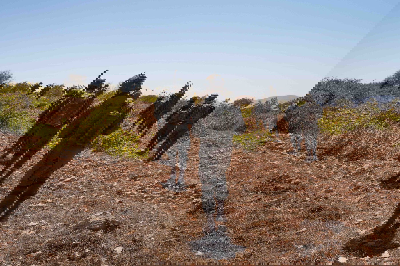 פעילות הכוחות במבצע והגעת הכוחות באופן מוסק למרחב טובאס