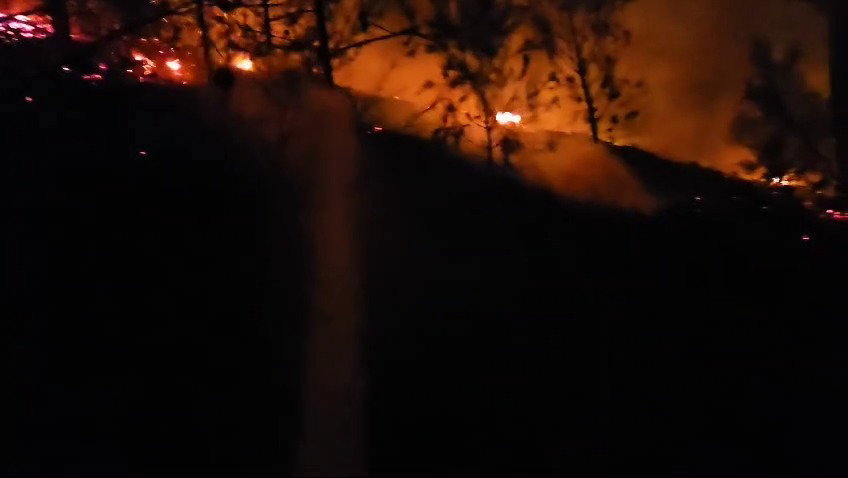 השריפה ביער ביריה