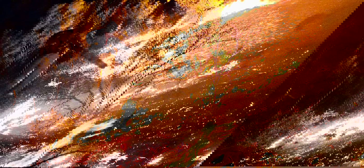 השריפה ליד צפת