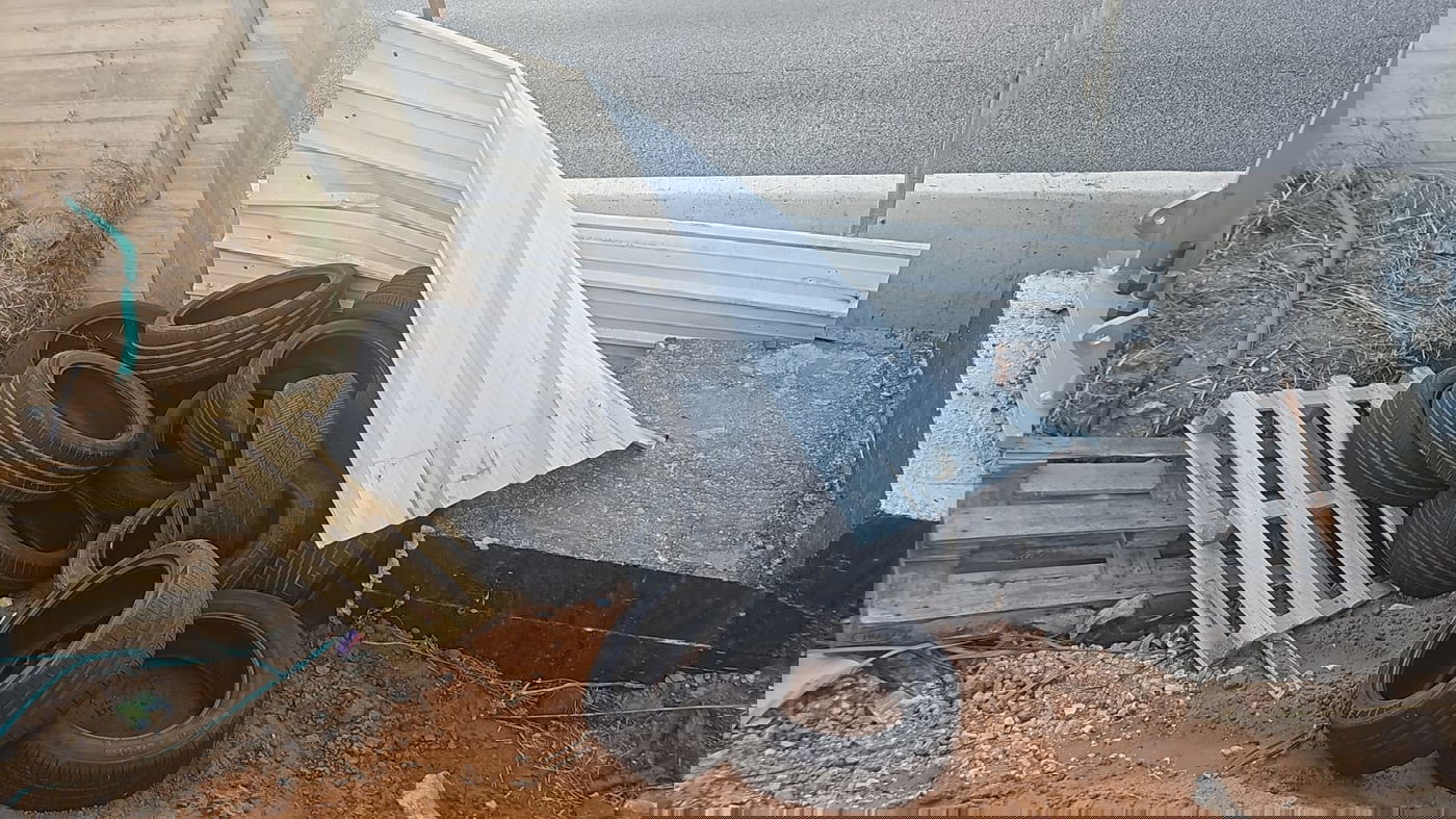 מה שהמשטרה איתרה